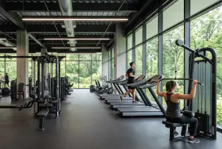 Gymnasium
